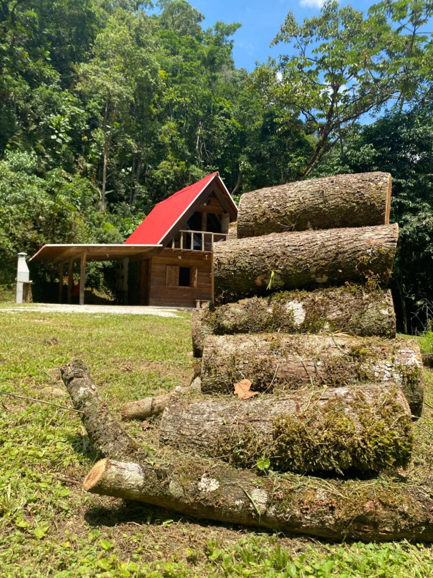 Chale Em Meio A Natureza! Guabiruba 외부 사진