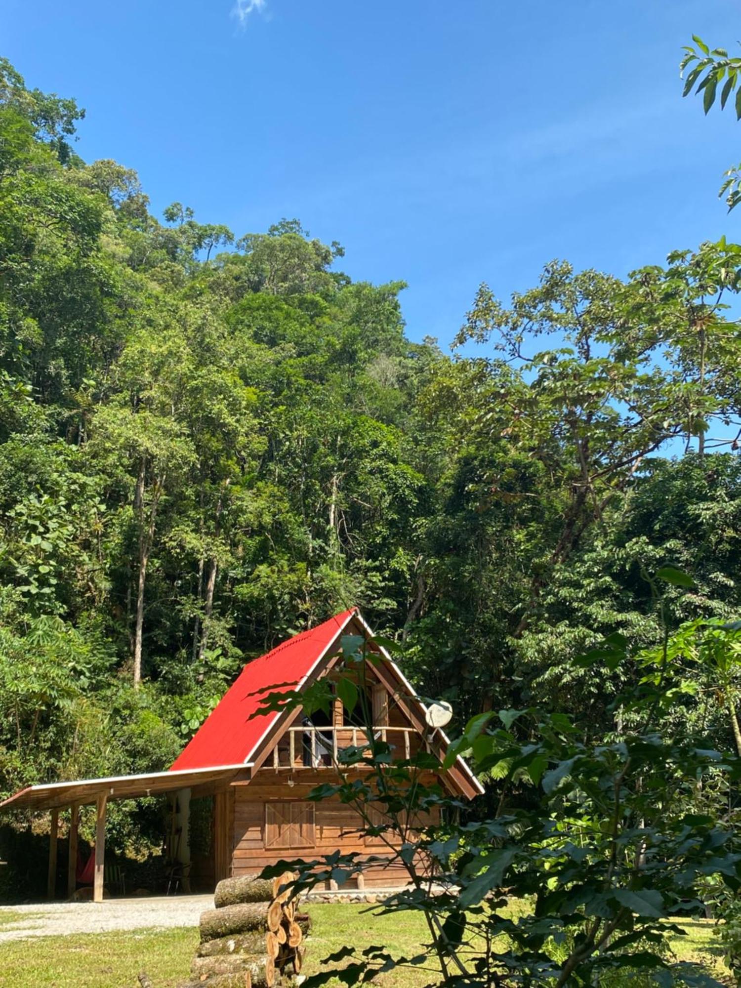 Chale Em Meio A Natureza! Guabiruba 외부 사진